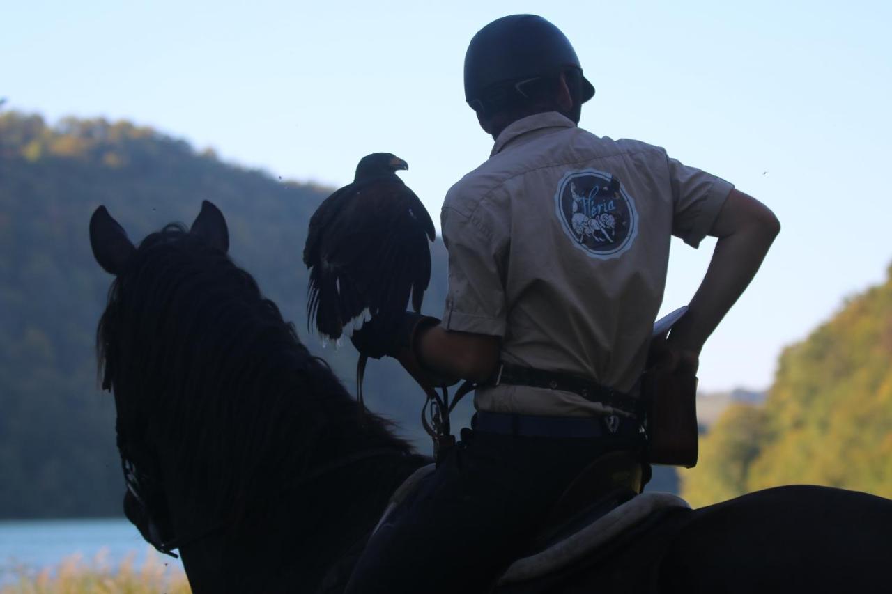 Parc Animalier Du Herisson Villa ดูซิเยร์ ภายนอก รูปภาพ