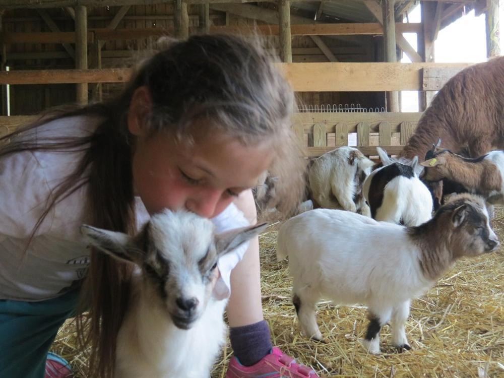 Parc Animalier Du Herisson Villa ดูซิเยร์ ภายนอก รูปภาพ