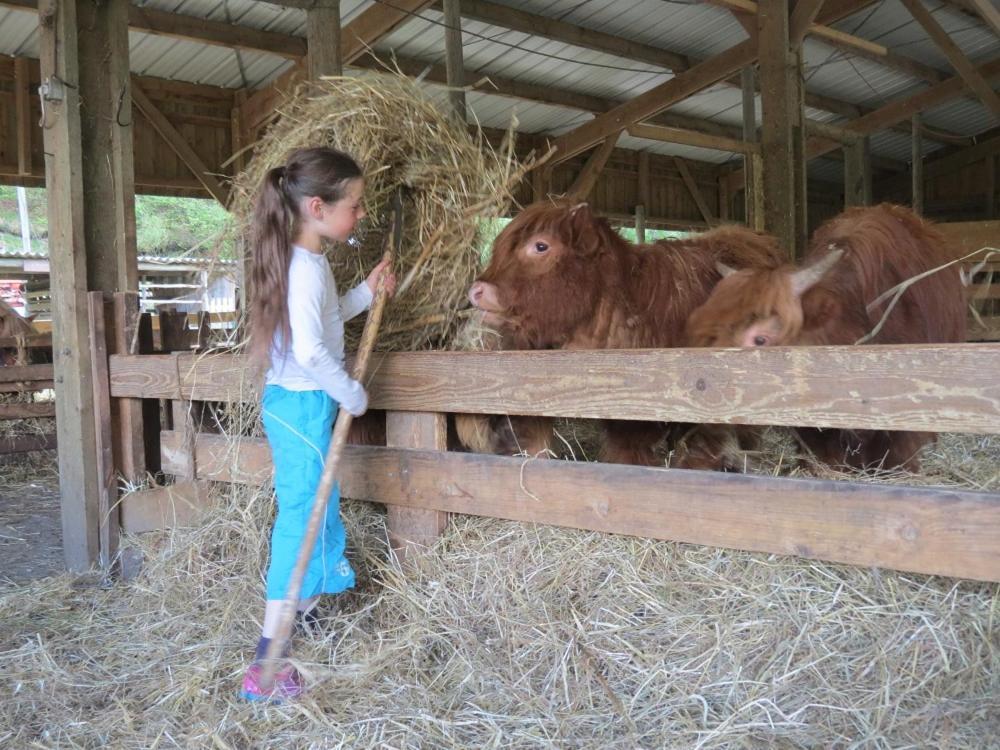 Parc Animalier Du Herisson Villa ดูซิเยร์ ภายนอก รูปภาพ